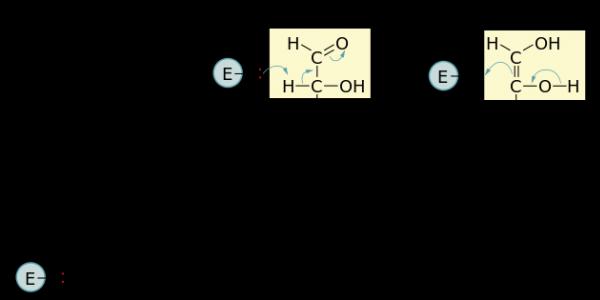 Гликолиз, суть его реакций, энергетика, синтез сахаров при обращении гликолиза; цикл ди- трикарбоновых кислот, характеристика основных стадий цикла